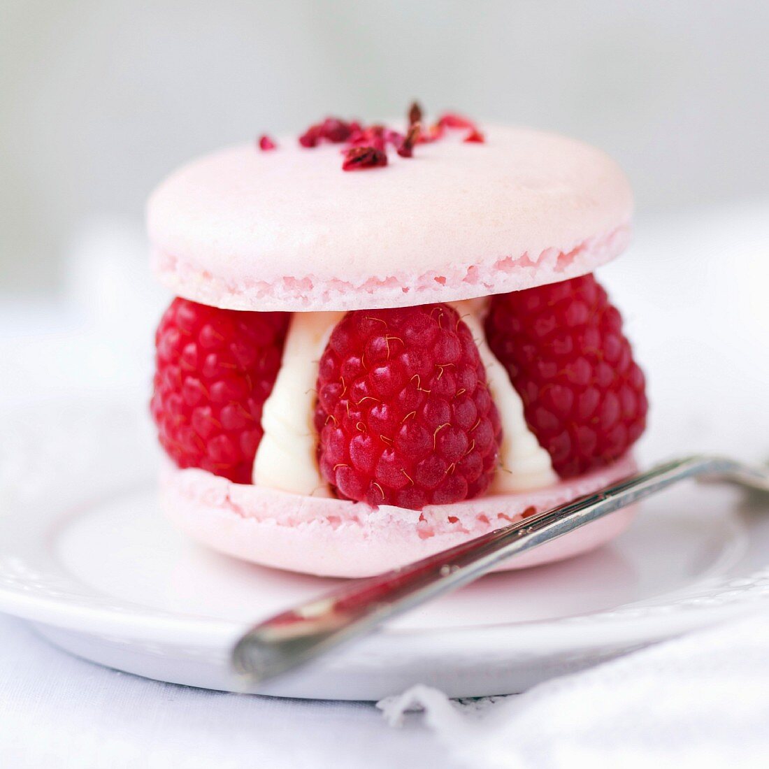 Macaron filled with fresh raspberries and cream