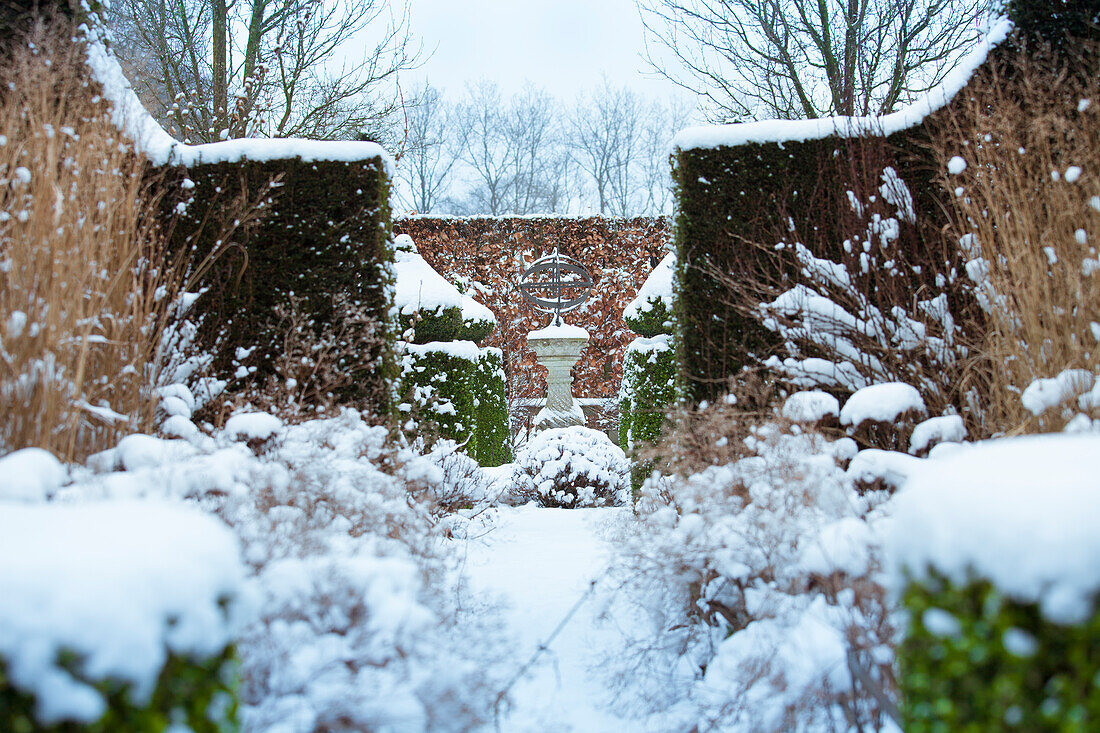 Verschneiter Gartenweg mit Hecken und Skulptur im Winter