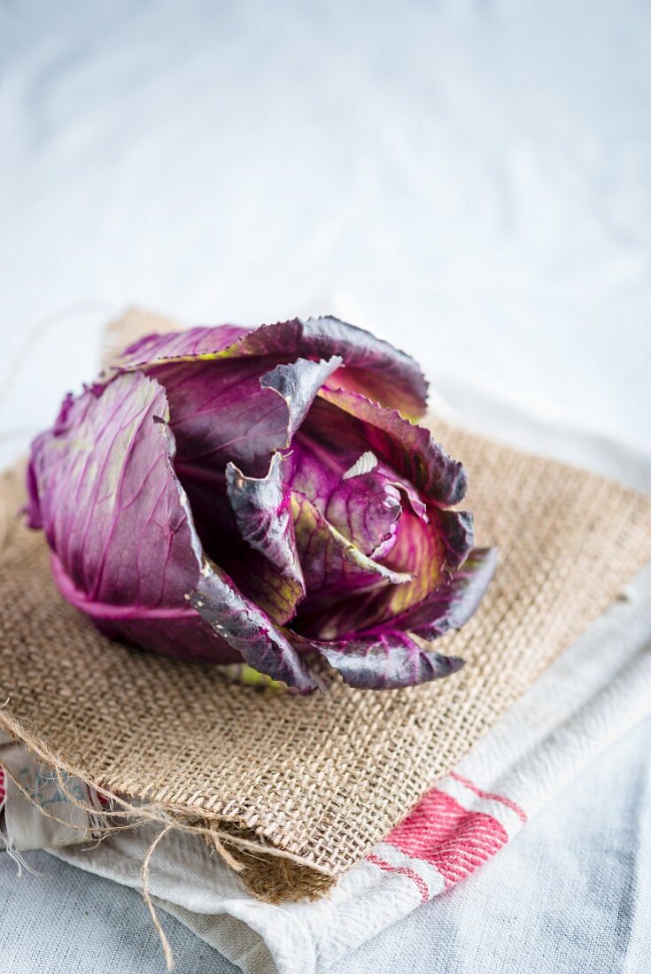 A red cabbage on a linen cloth