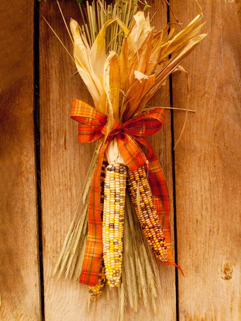 Corn cobs used as autumnal decorations on a wooden wall