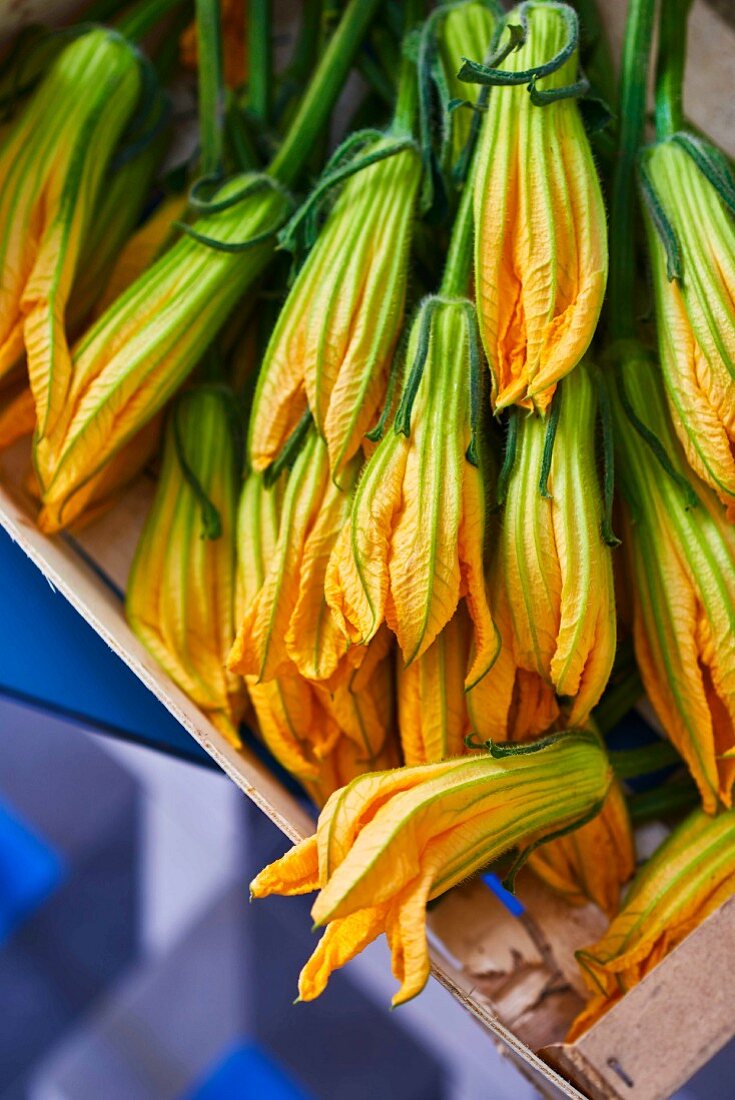 Courgette flowers