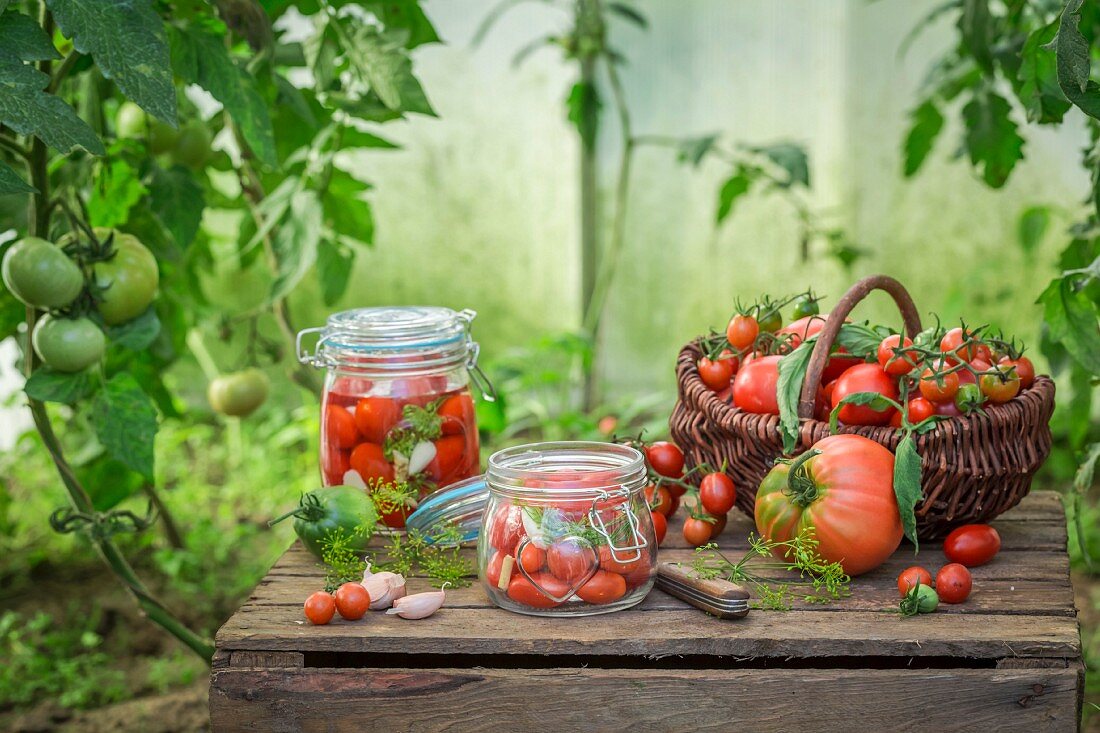 Eingelegte und frische Tomaten mit Zutaten auf Holzkiste im Garten