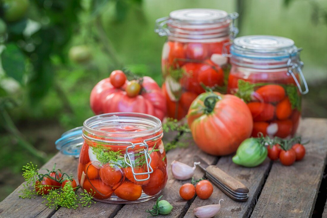 Eingelegte und frische Tomaten mit Zutaten auf Holzkiste im Garten