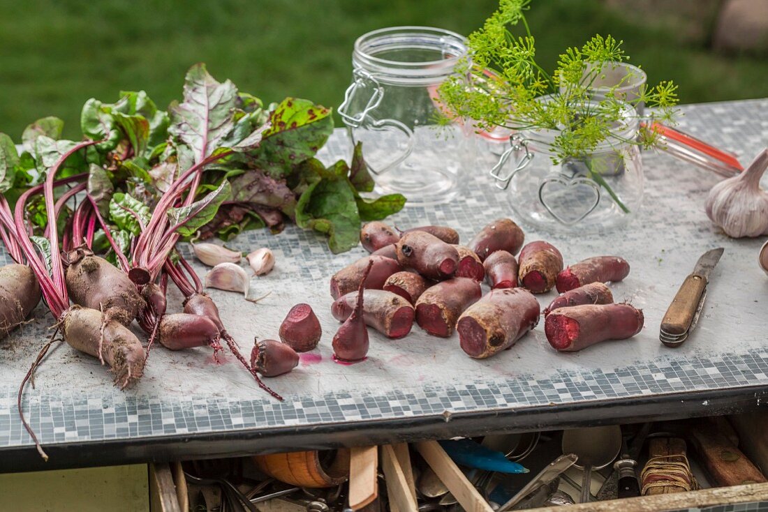 Beetroot ready to be pickled on a garden table