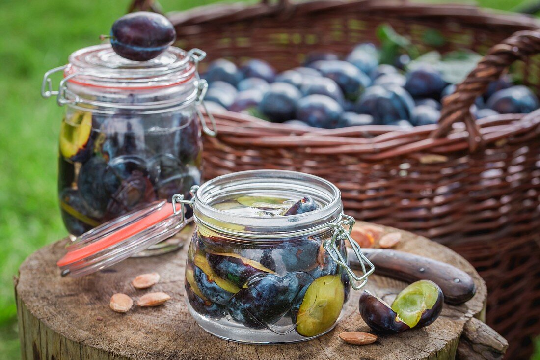 Eingelegte Pflaumen im Einmachglas auf Baumstumpf im Garten