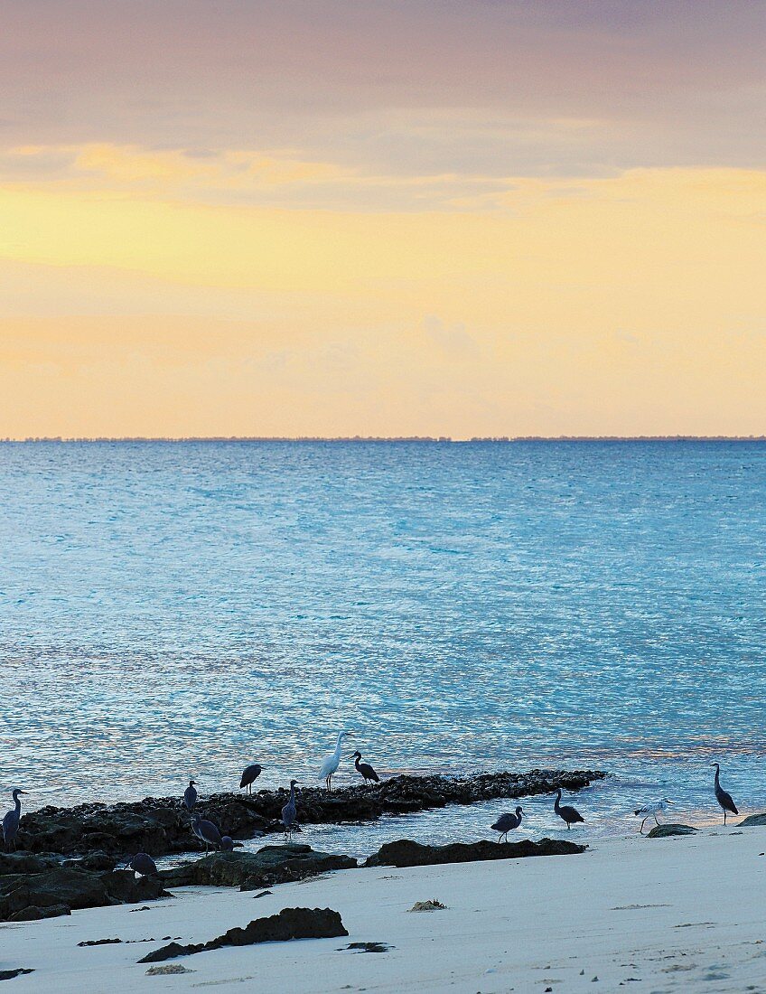 Beautiful sunset sky over the ocean