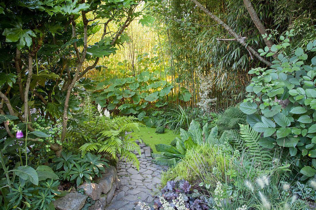 Naturnaher Garten mit verschiedenen Grünpflanzen