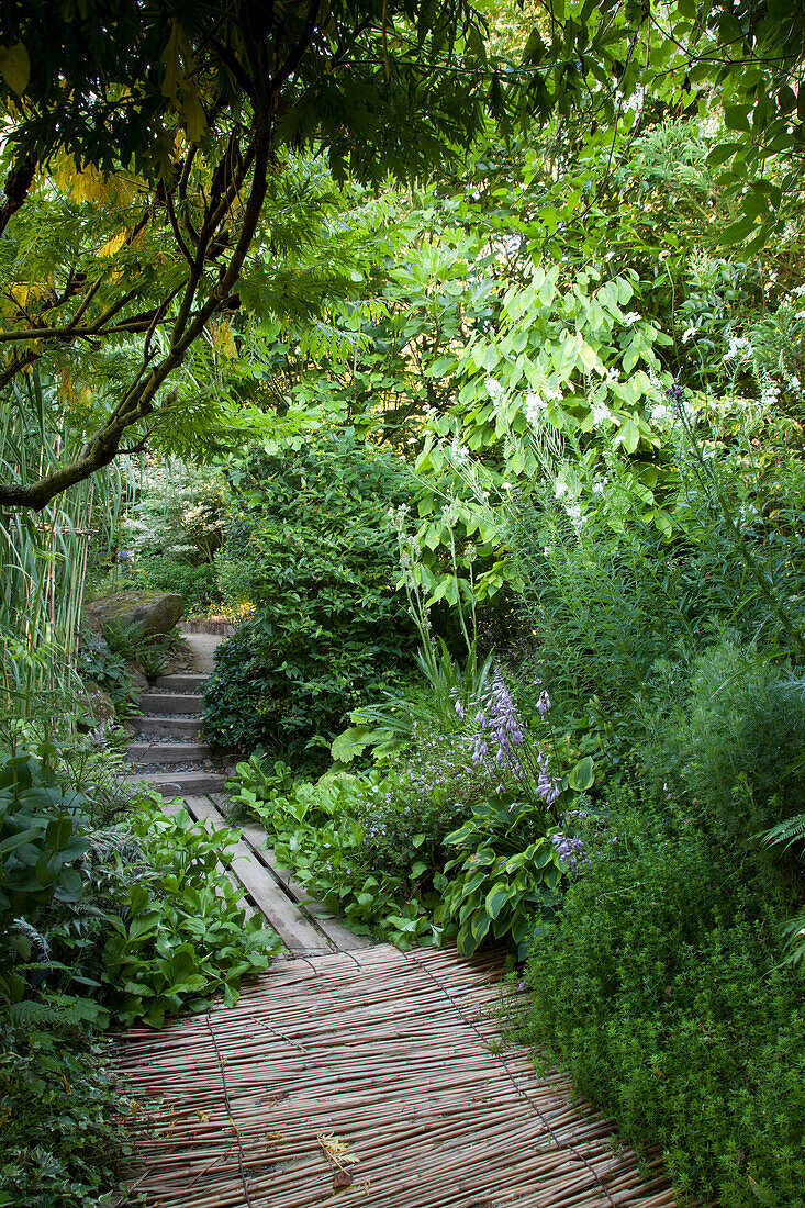 Path made from various materials leading through wild garden