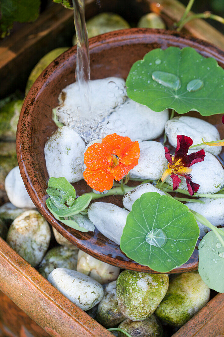 Water flowing into bowl of pebbles and nasturtium flowers