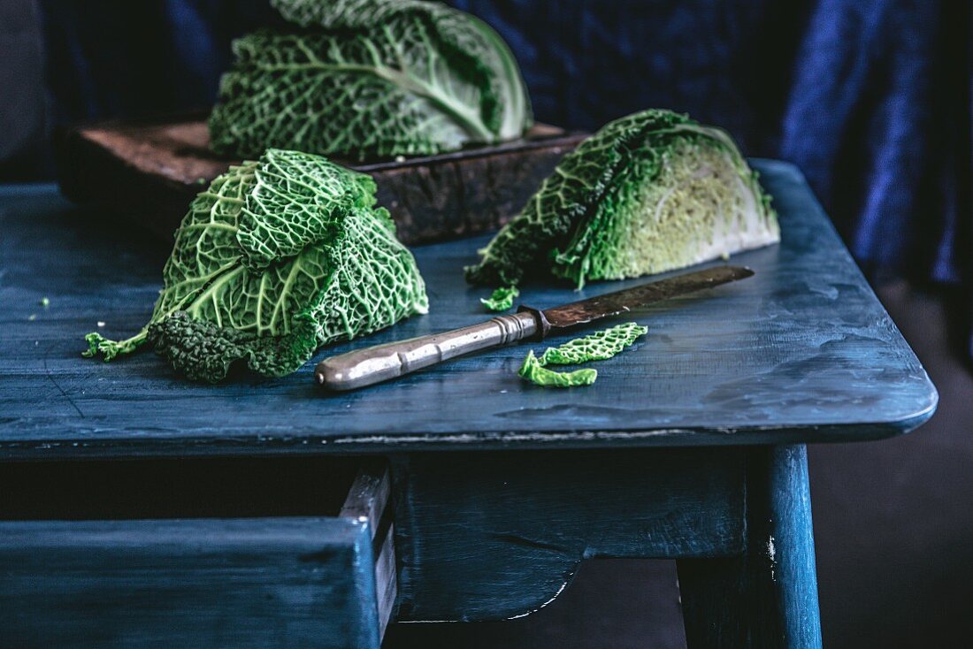 Savoy cabbage on a blue table