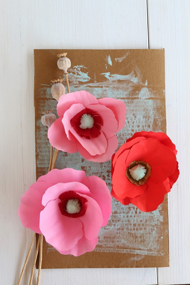 Paper poppies stuck on cardboard