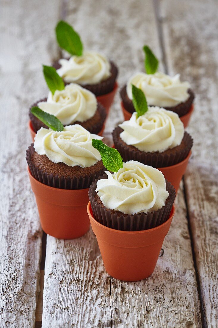 Chocolate cupcakes with buttercream roses and mint
