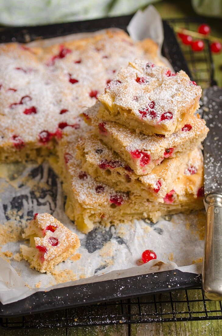 Apple and redcurrant cake on a baking sheet