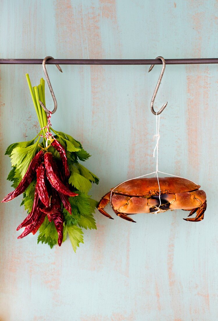 Taschenkrebs, getrocknete Chilis und frische Kräuter hängen an Haken