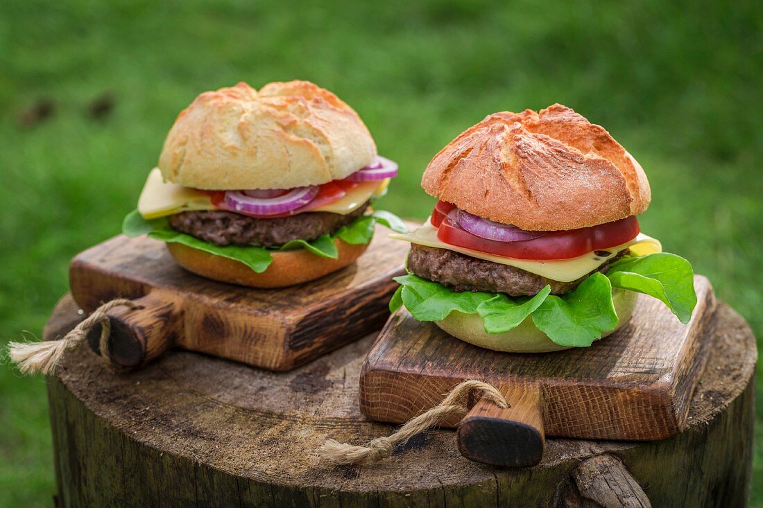 Two homemade hamburgers with fresh vegetables
