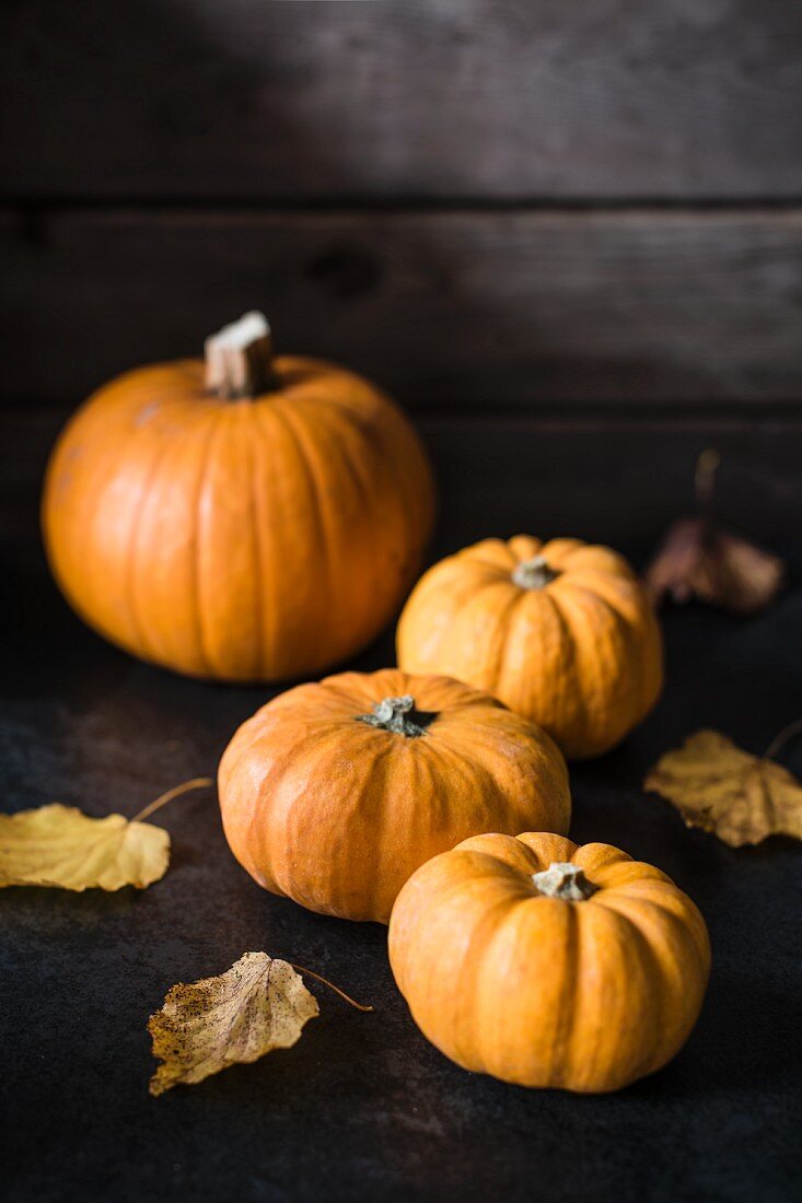 Several pumpkins with autumn leaves