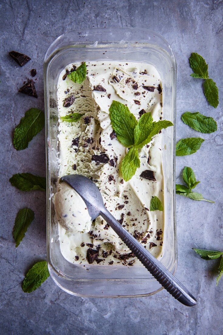 Chocolate chip and mint ice cream in an ice cream container with an ice cream scoop