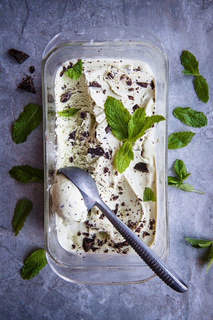 Minzeis mit Chocolatechips im Eisbehälter mit Eiskugelformer