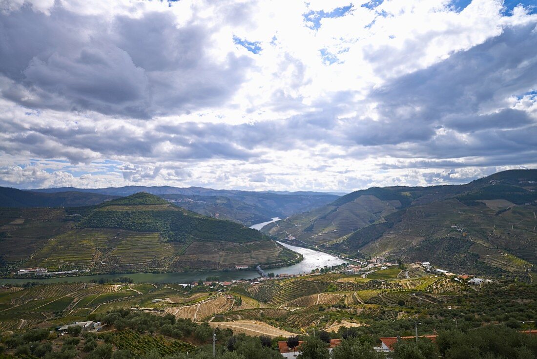 The Douro Valley in Vale de Mendiz, Portugal