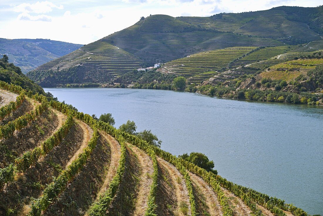 The Duoro river in the Douro Valley in Vale de Mendiz, Portugal