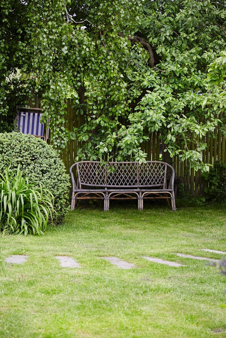 Gartenbank vor Lattenzaun unter Baum in Garten