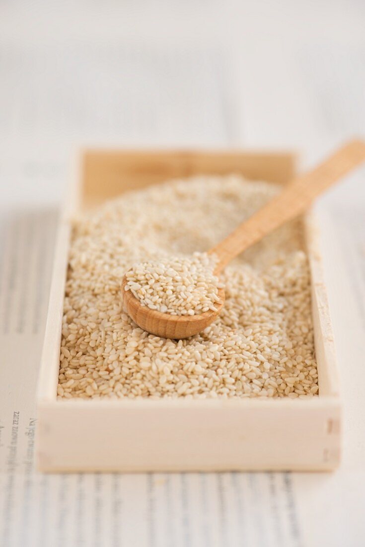 Sesame seeds with a spoon in a wooden box