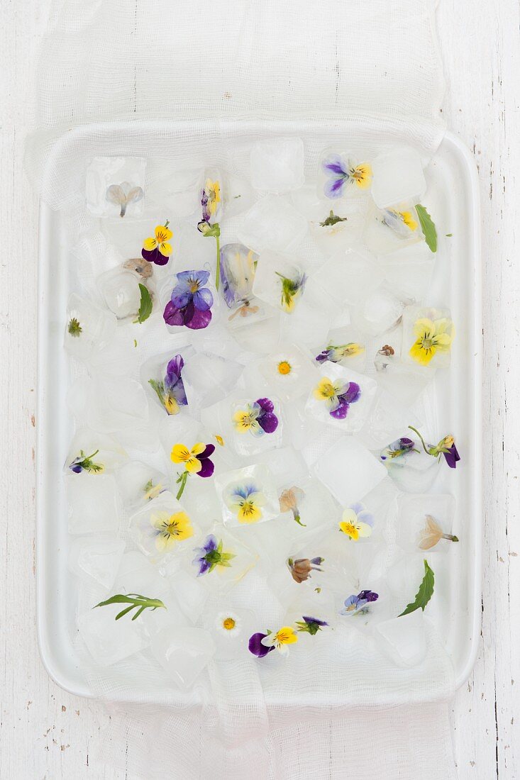 Decorative ice cubes with edible flowers (seen from above)