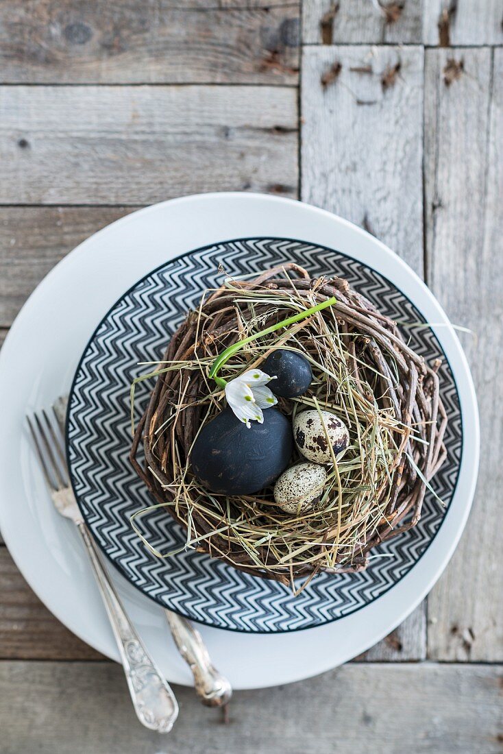 Nest mit schwarzen Eiern und Wachteleiern auf dem Teller