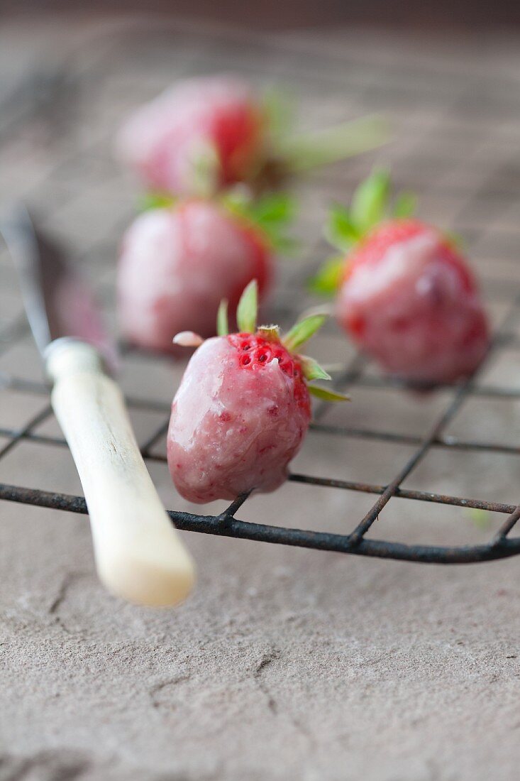 Erdbeeren getaucht in Beerenschokolade