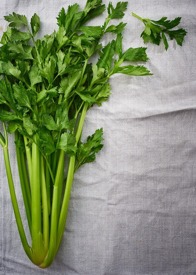 Fresh celery on a linen cloth