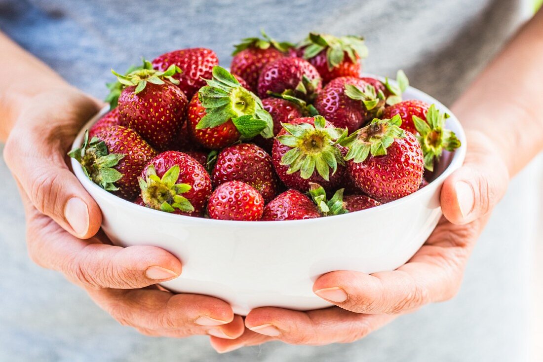 Hands holding bowl of fresh strawberries