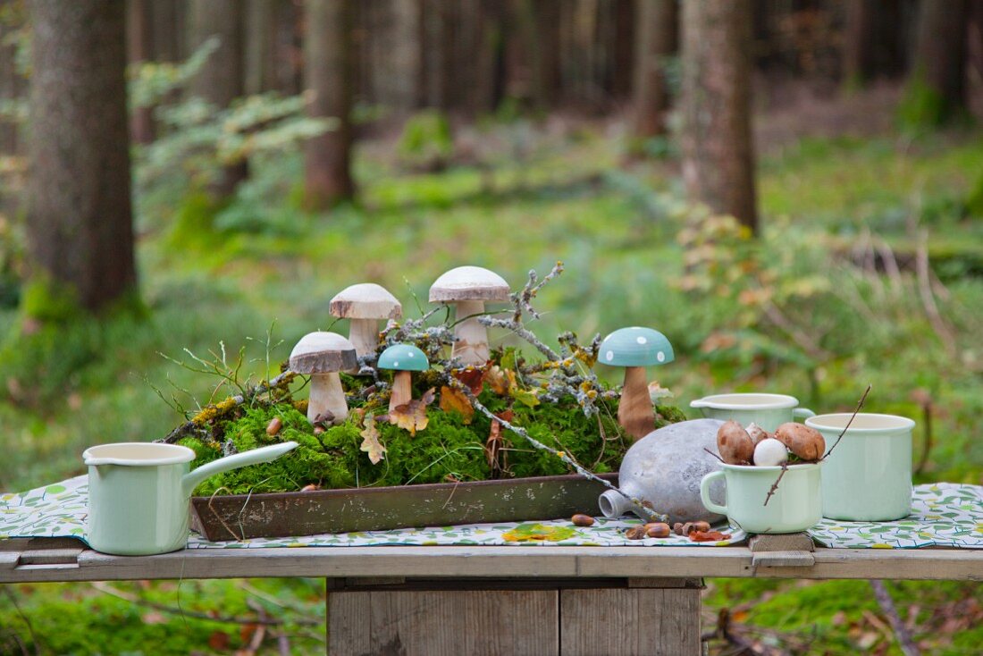 Holzpilze im Tablett mit Moos auf einem Picknicktisch im Wald