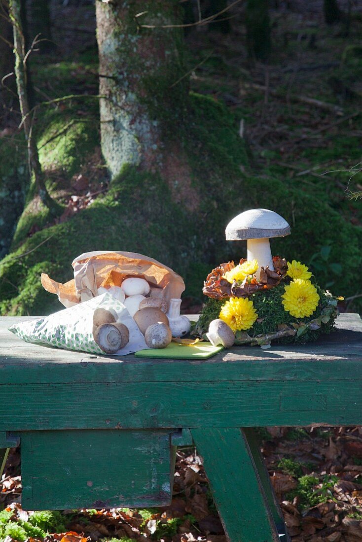 Holzpilz und Champignons in einer Papiertüte auf einer Bank im Wald