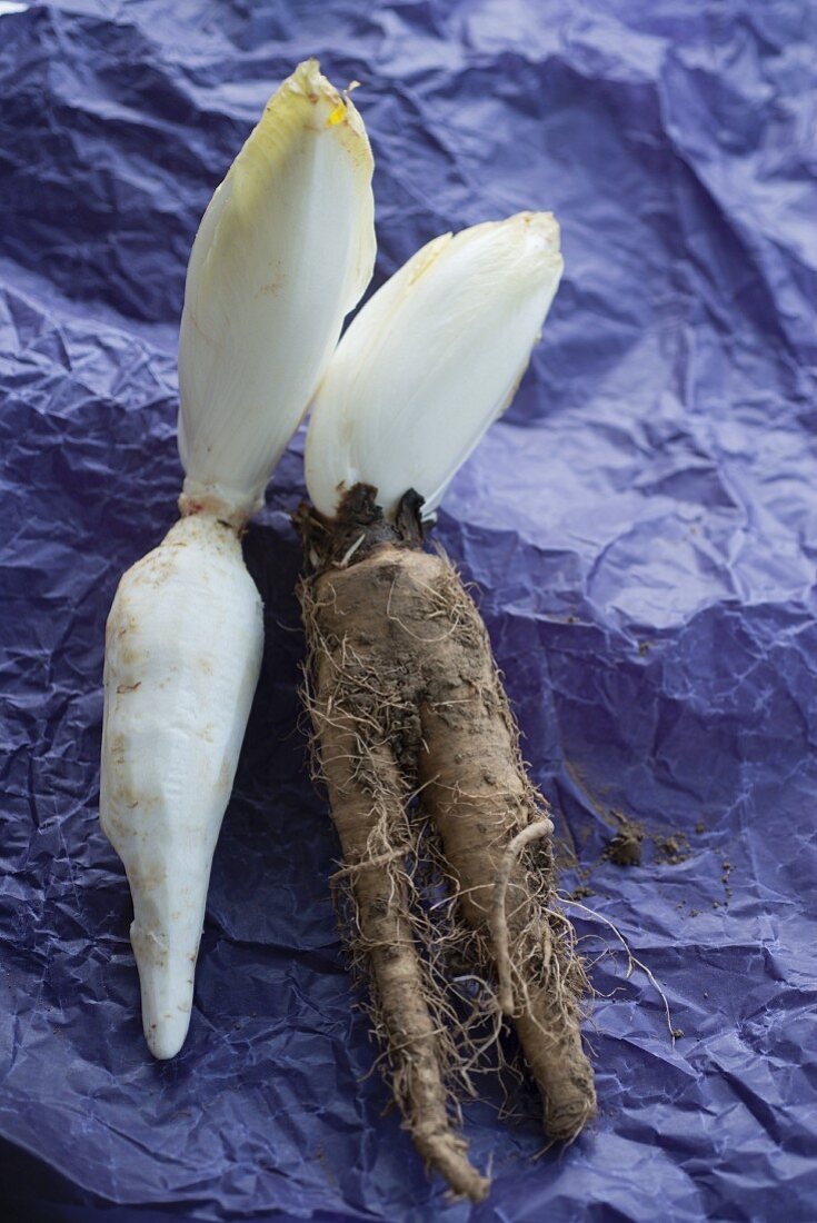 Chicory with peeled and unpeeled roots