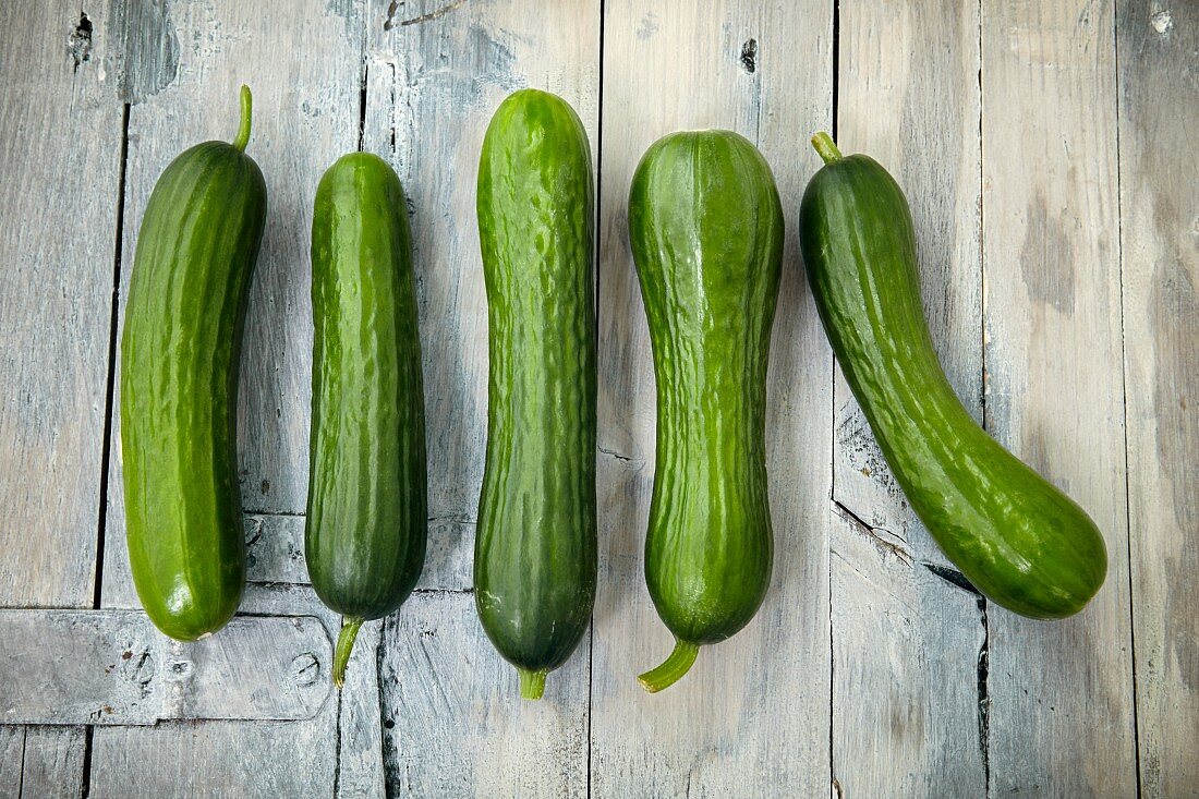 Five mini cucumbers in a row