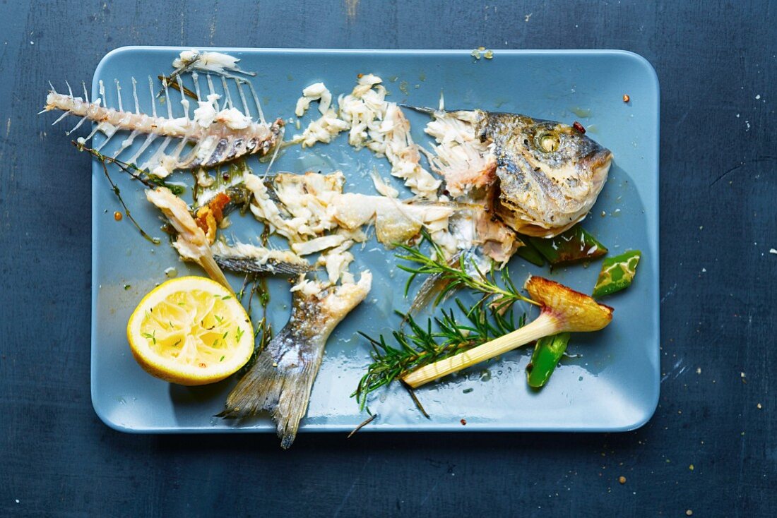 Leftover food and the skeleton of a gilt-head bream on a serving try