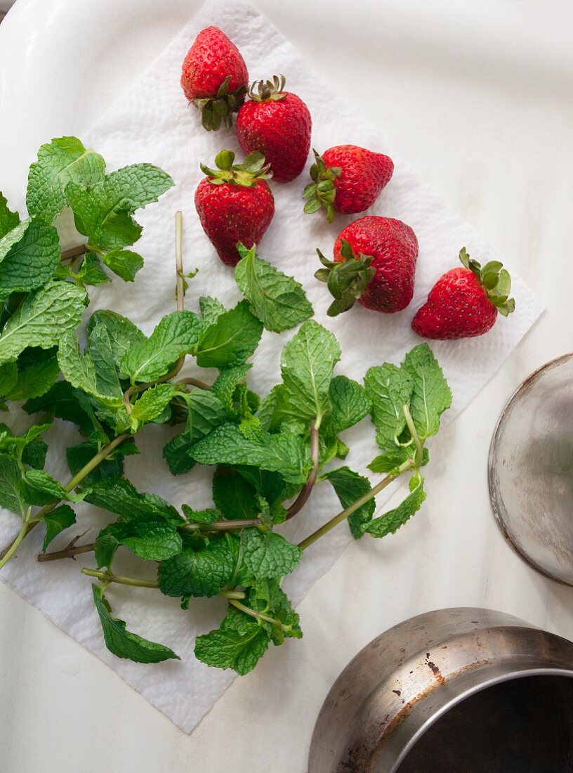 Frisch gewaschene Erdbeeren und Minzezweige auf Küchenpapier