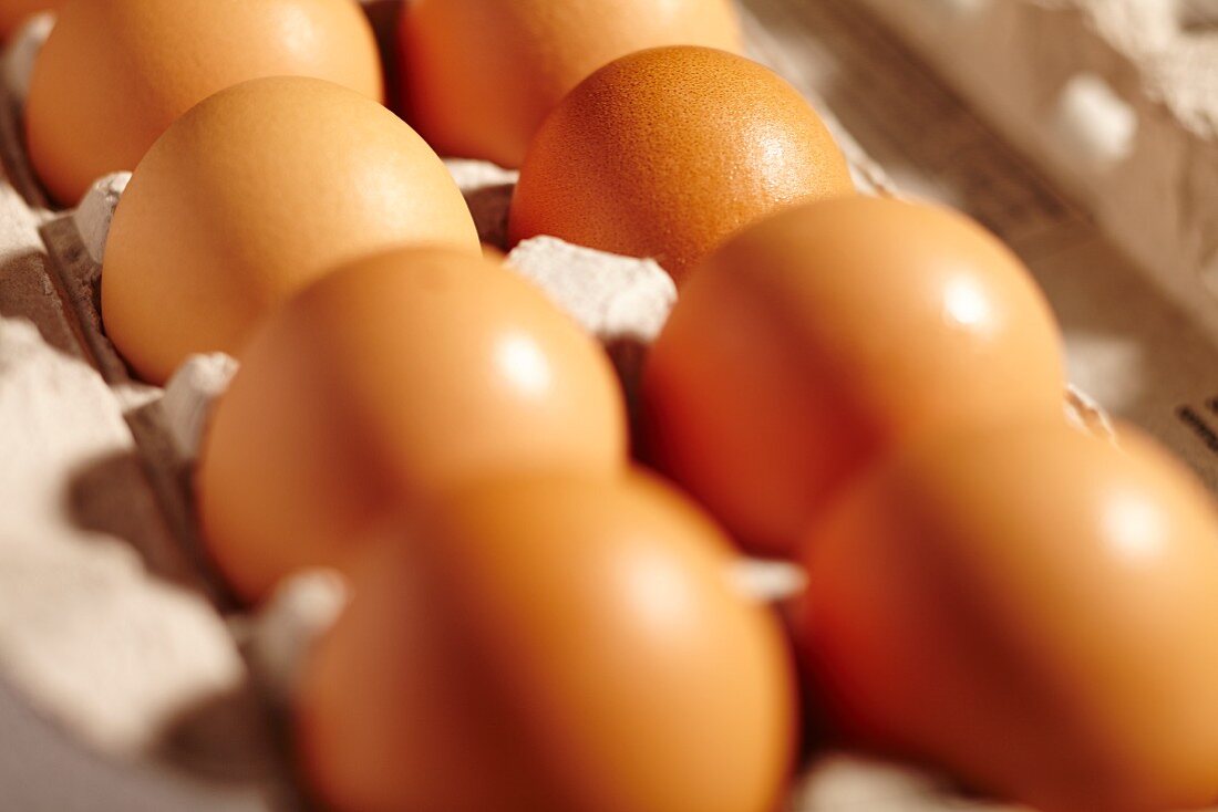 Fresh eggs from Lancaster County, Pennsylvania, USA