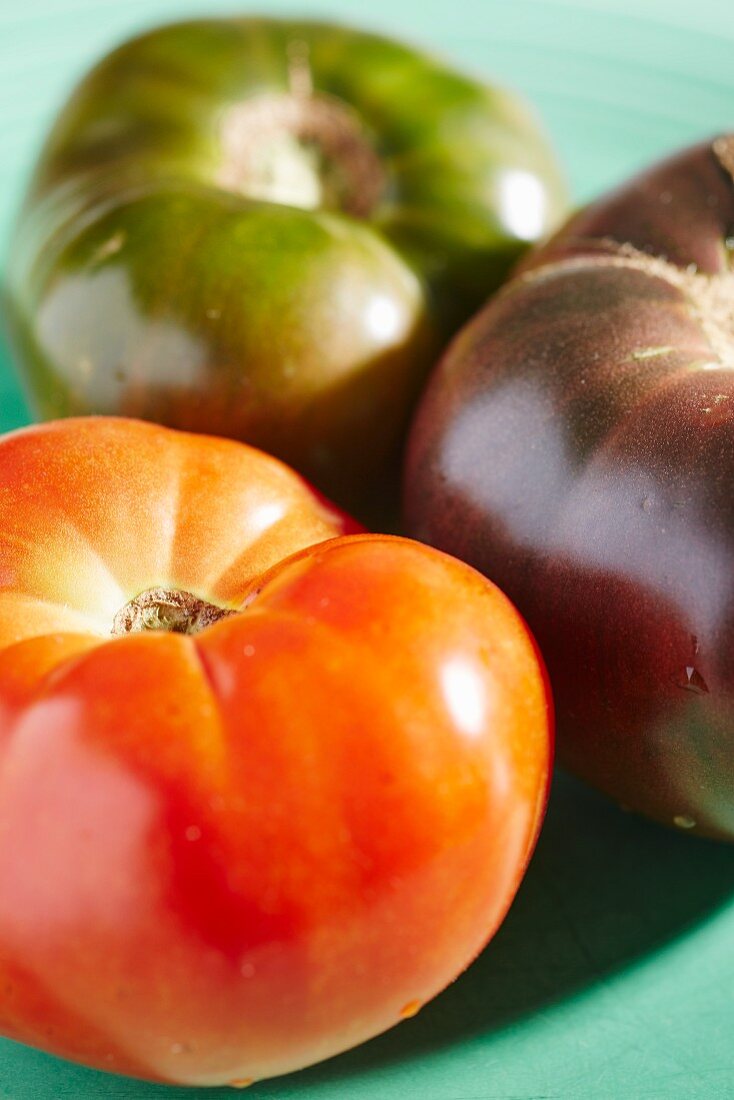 Heirloom Tomaten aus York County, Pennsylvania, USA