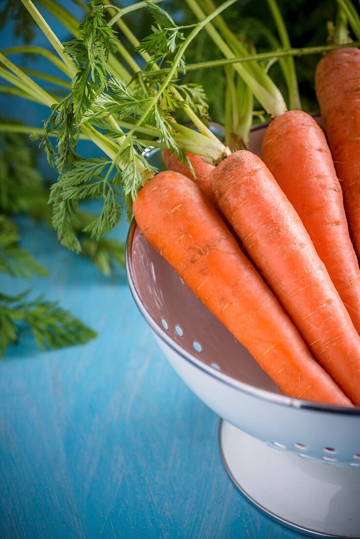 Fresh carrots in a colander