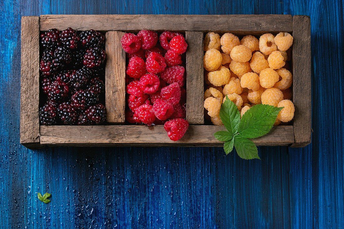 Wood box of colorful yellow and red raspberries and black dewberry with leaf