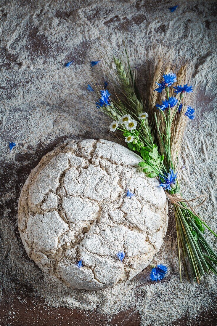 Unbaked bread with flour and ears of corn