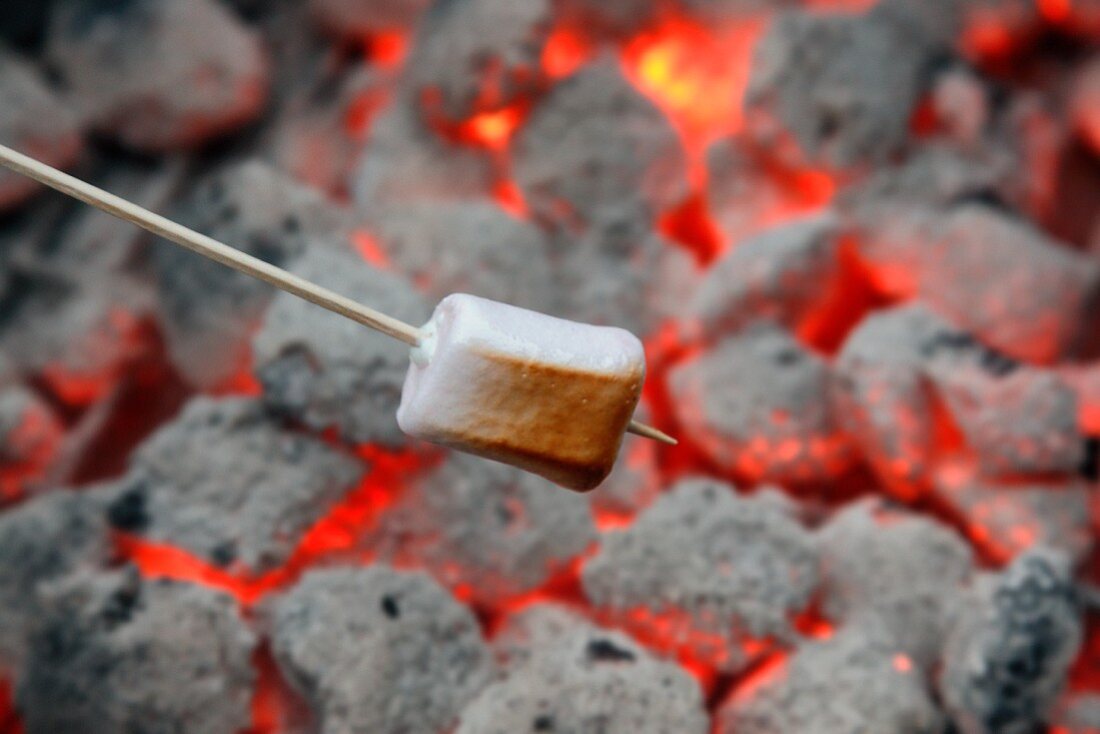 A marshmallow being grilled