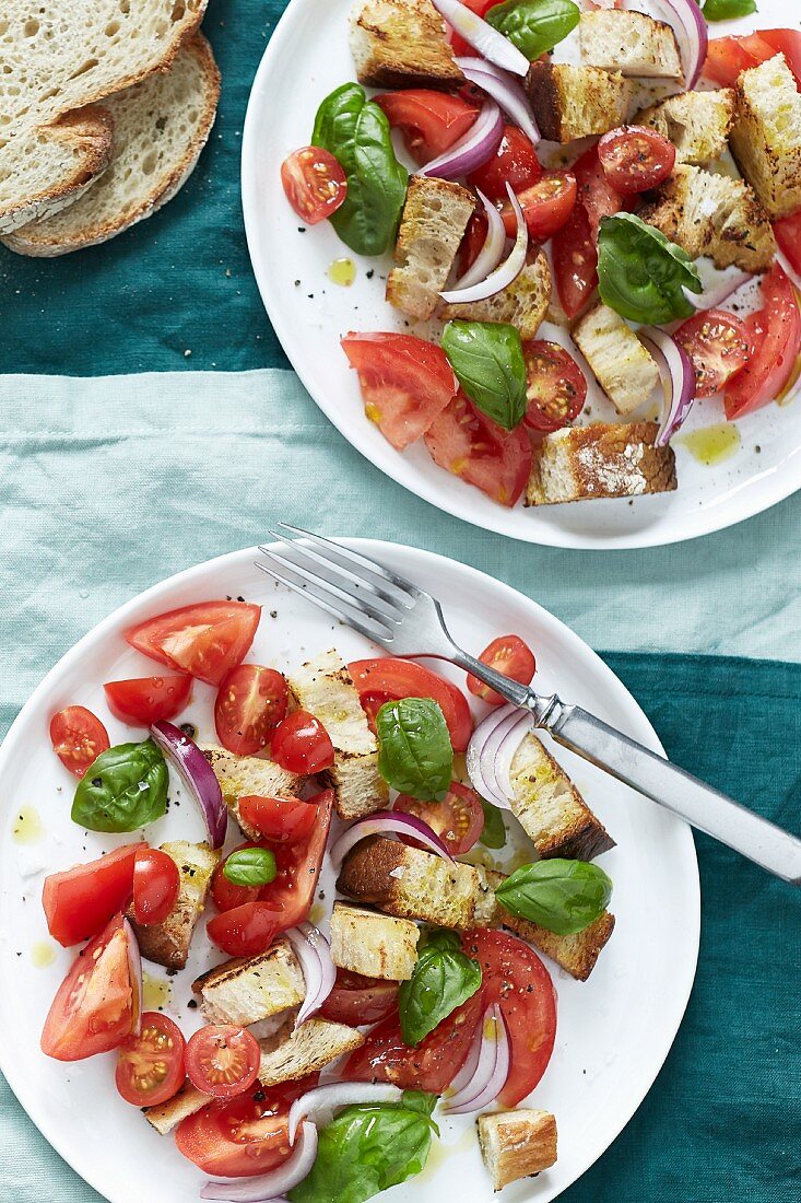 Bread salad with tomatoes and red onions