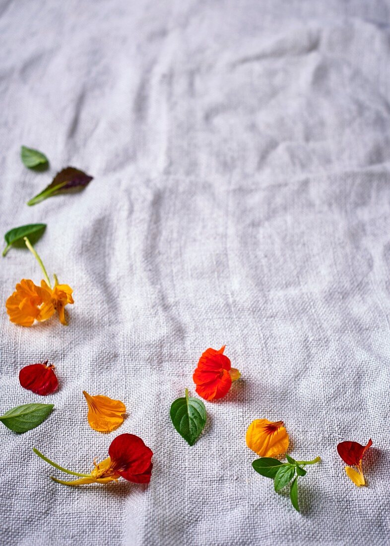 Kapuzinerkresseblüten und Kräuterblätter auf Leinentuch