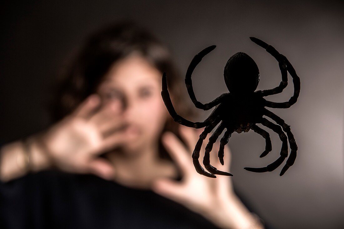 Arachnophobia,conceptual image