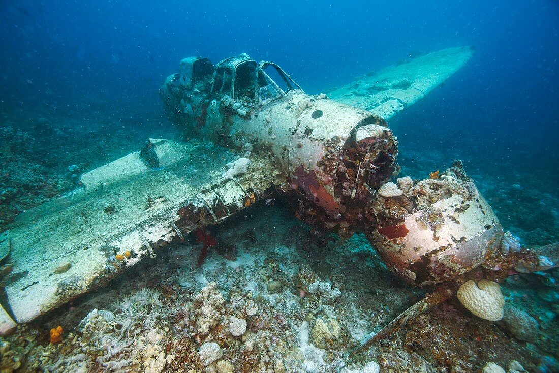 Wreck of a Aichi E13A plane in Palau