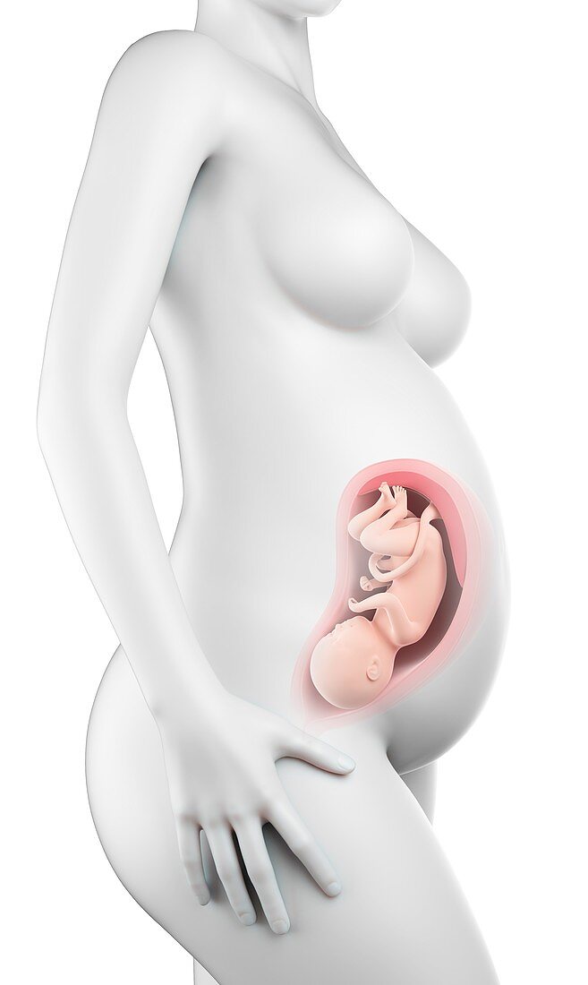 Pregnant woman,week 32