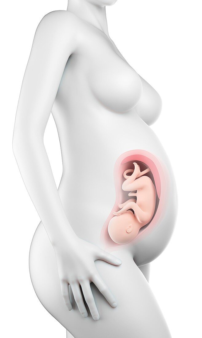 Pregnant woman,week 34