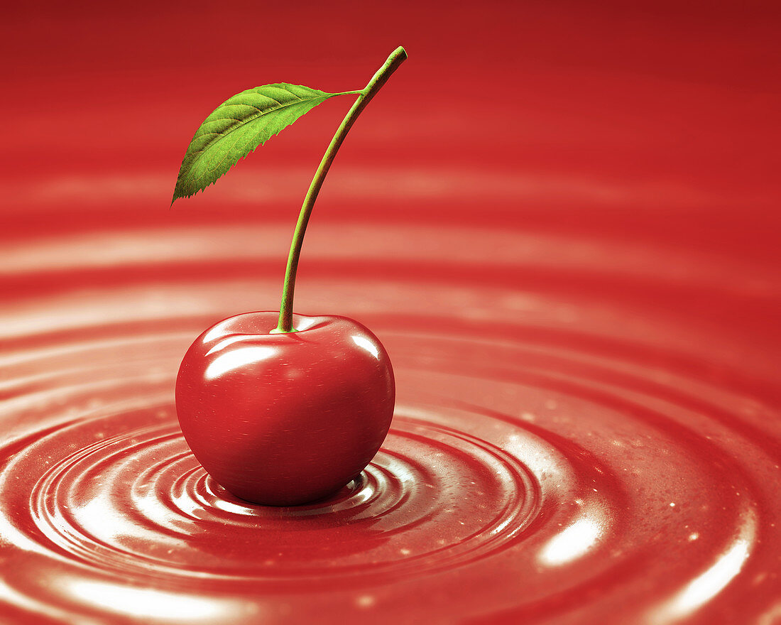 Red cherry on red liquid,illustration